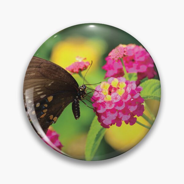 Item preview, Black Butterfly designed and sold by TwinPowerTammy.
