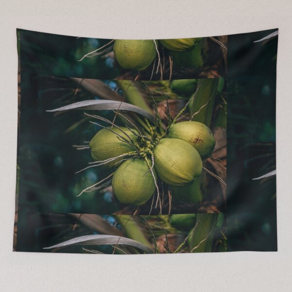Item preview, Coconut Fruit Cute Photo designed and sold by Health And Fitness Posts e-Store.