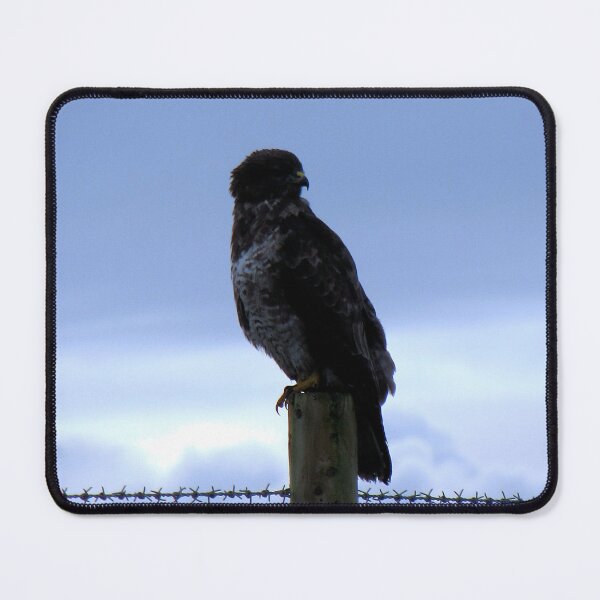 Item preview, Watching designed and sold by Sharon Perrett.