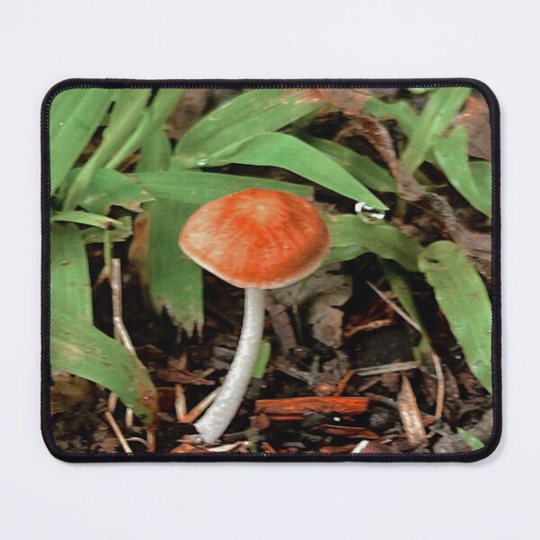 Item preview, lil shroom designed and sold by abby cartwright.