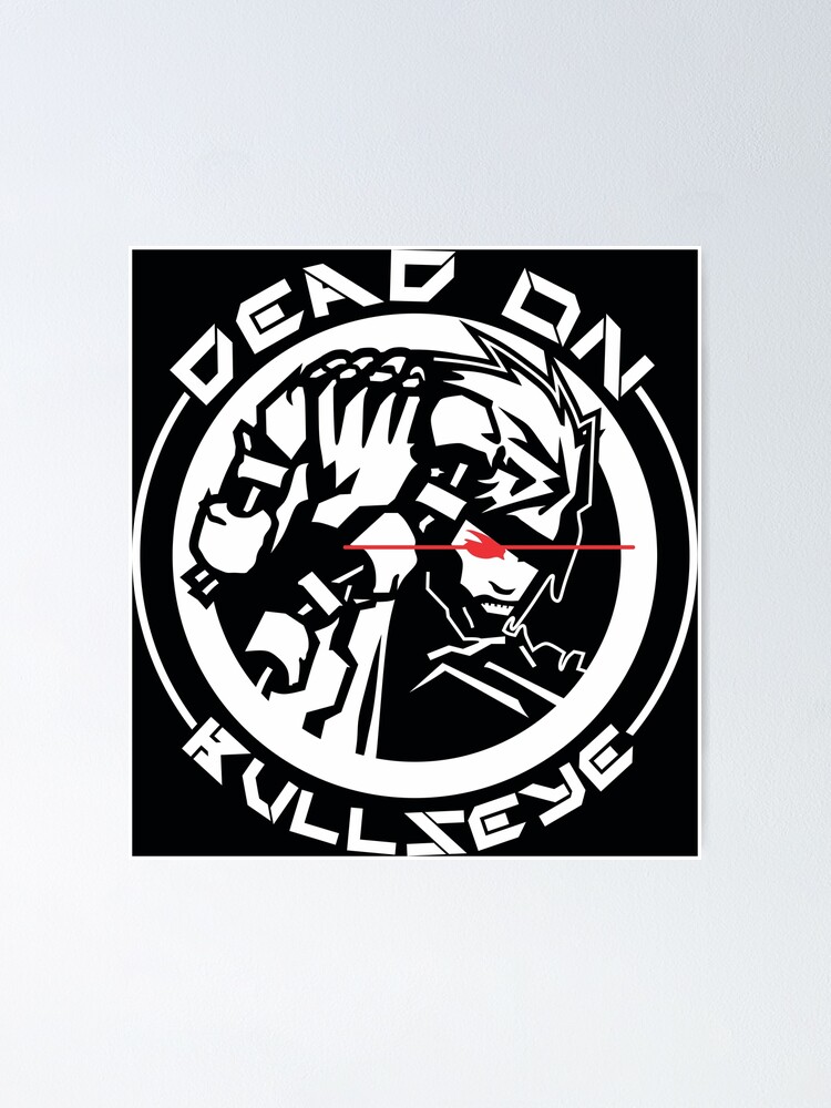 raiden-dead-on-bullseye-metal-gear-rising-revengeance-poster-for