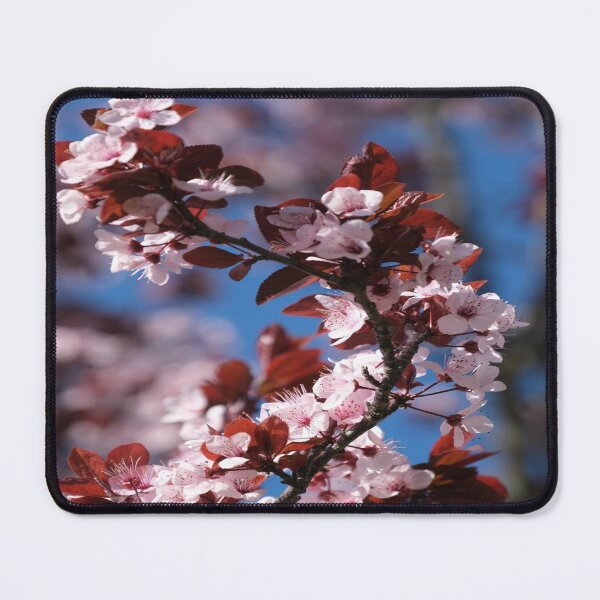 Item preview, Pink cherry blossoms designed and sold by MiRas7.