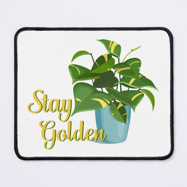 Item preview, Stay Golden Pothos Houseplant designed and sold by That80sQueen.