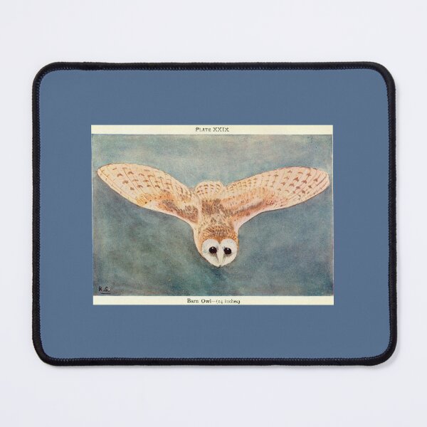 Item preview, Barn Owl designed and sold by Lloyd Library & Museum.