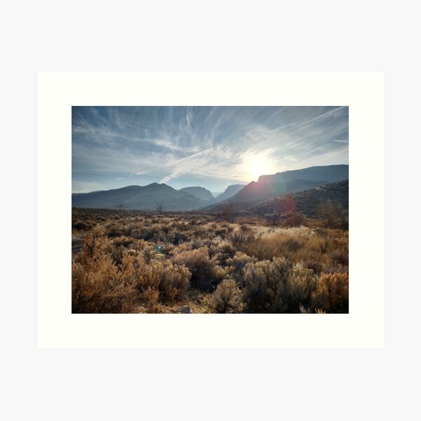 Ersity of Was: Winter Evening Art Print