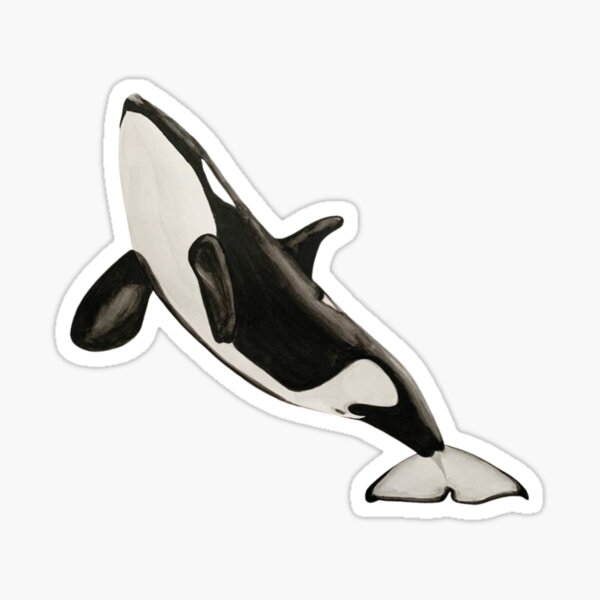 Item preview, Killer whale designed and sold by ninalatorre.