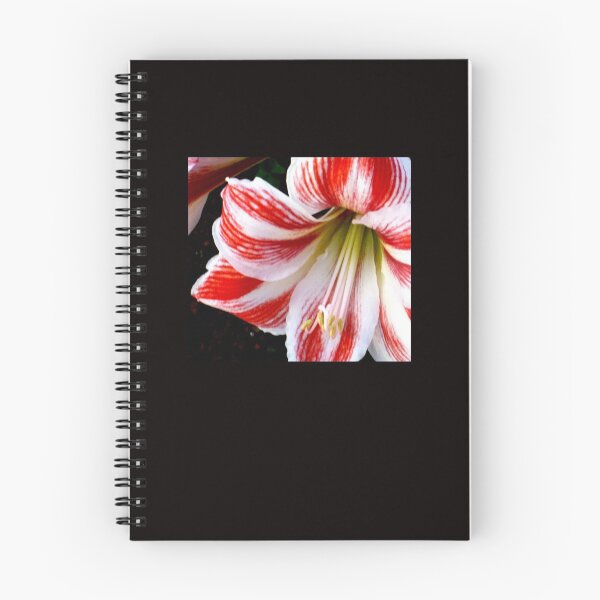 Item preview, Gorgeous Lily - Red-and-Withe-Striped  designed and sold by RubaiDesign.