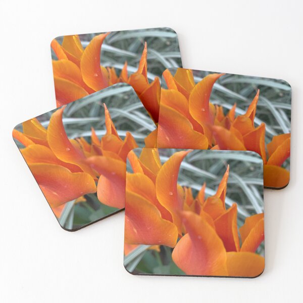 Item preview, Orange tulips close-up designed and sold by agnessa38.