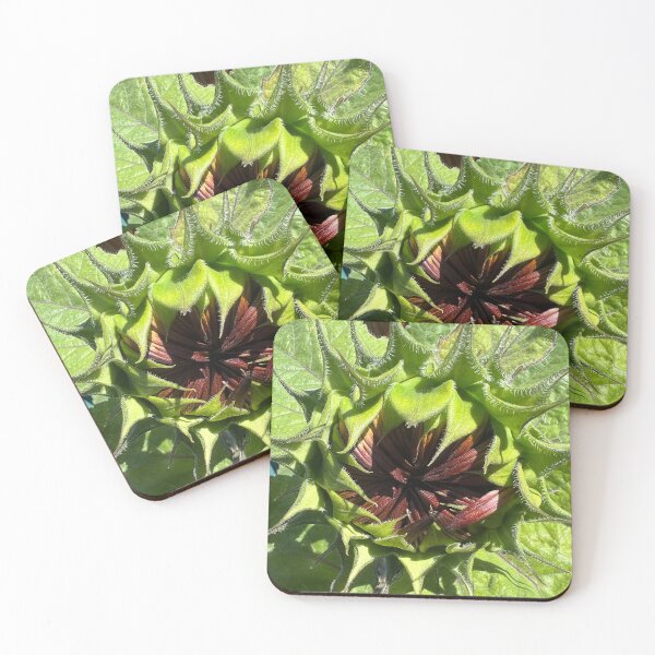 Item preview, Birthing the New! designed and sold by Photomersion.