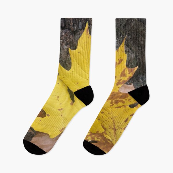 Item preview, Fall is in the Air designed and sold by Photomersion.