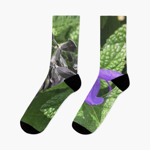 Item preview, Tender Purple Salvia  designed and sold by Photomersion.