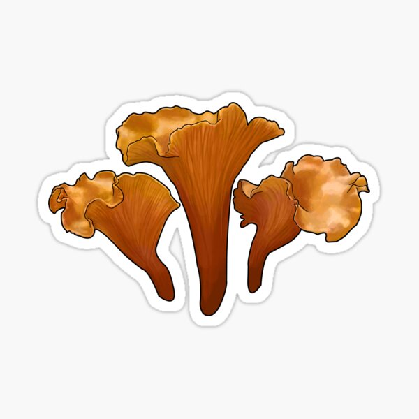 Item preview, Cantharellus cibarius designed and sold by microcosmicshop.