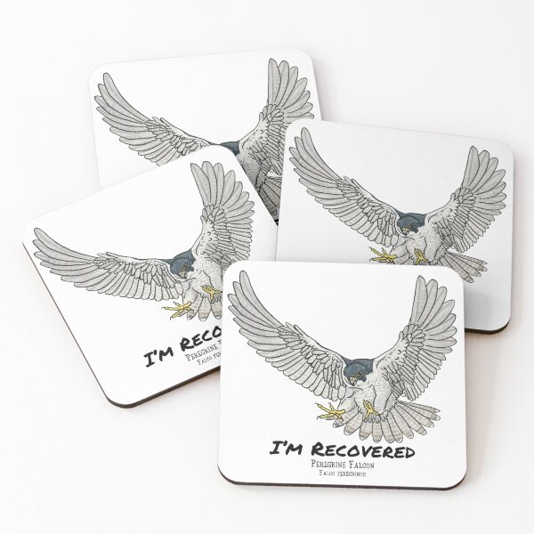 Item preview, Peregrine Falcon- I'm Recovered designed and sold by Alexis Rodefer.