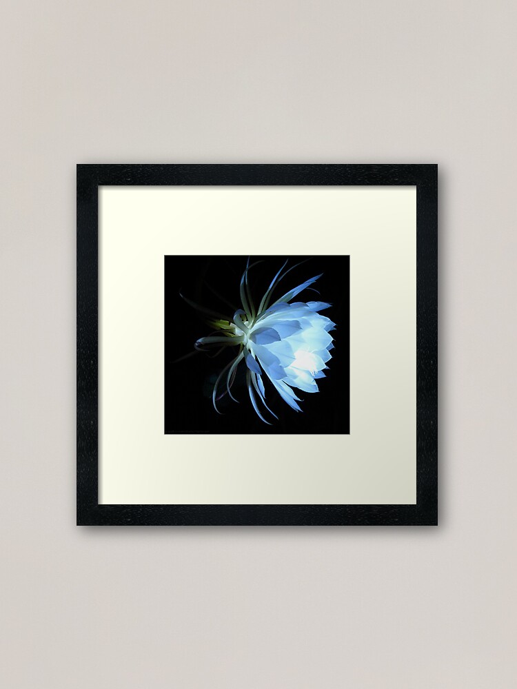 Thumbnail 1 of 7, Framed Art Print, Devic Lantern designed and sold by alvinsan9.