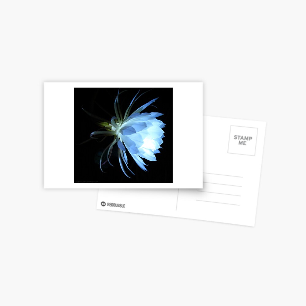 Item preview, Postcard designed and sold by alvinsan9.