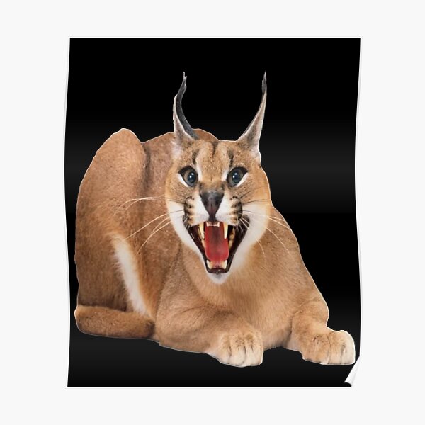 Floppa Angry Caracal Poster For Sale By Mzusa Redbubble