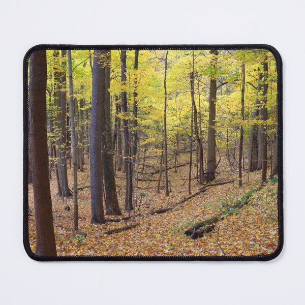 Item preview, Autumn Gold | Nature designed and sold by RedHandedOD.