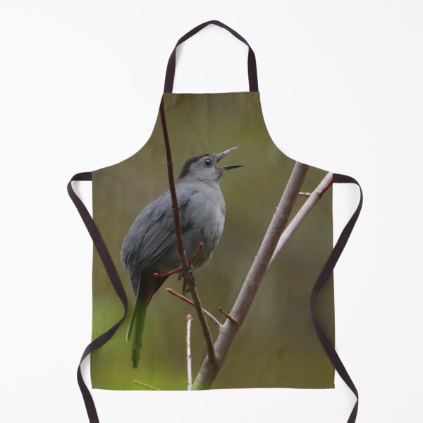 Item preview, Gray Catbird | Nature designed and sold by RedHandedOD.