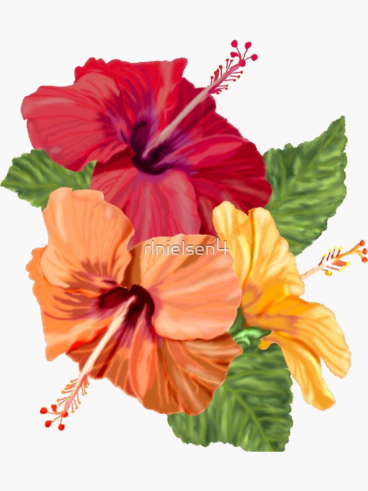 Autocollant Fleurs d'hibiscus 10 cm