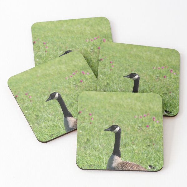 Item preview, Canada Goose  designed and sold by Krystina Starks.