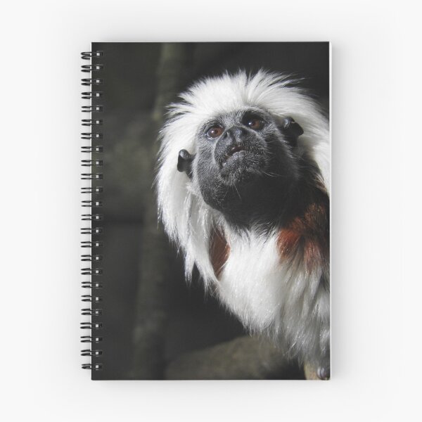 Item preview, Cotton Top Tamarin designed and sold by kirstybush.