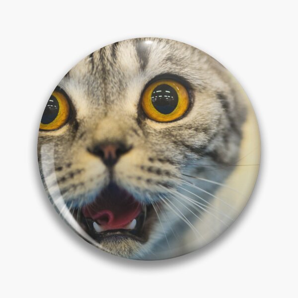 Item preview, Shocked cat designed and sold by Nik Olajuwon.