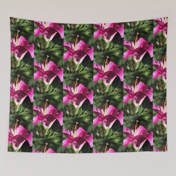 Item preview, Flowering Pink Lily designed and sold by Joy Watson - Natural Light Photography .