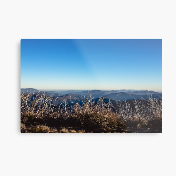 f e a t h e r t o p Metal Print