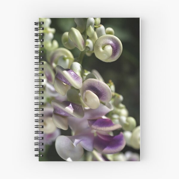 Item preview, Corkscrew Vine Flower designed and sold by Joy Watson - Natural Light Photography .