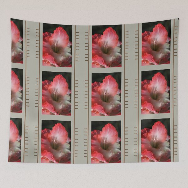 Item preview, Red And White Gladiolus Flower designed and sold by Joy Watson - Natural Light Photography .