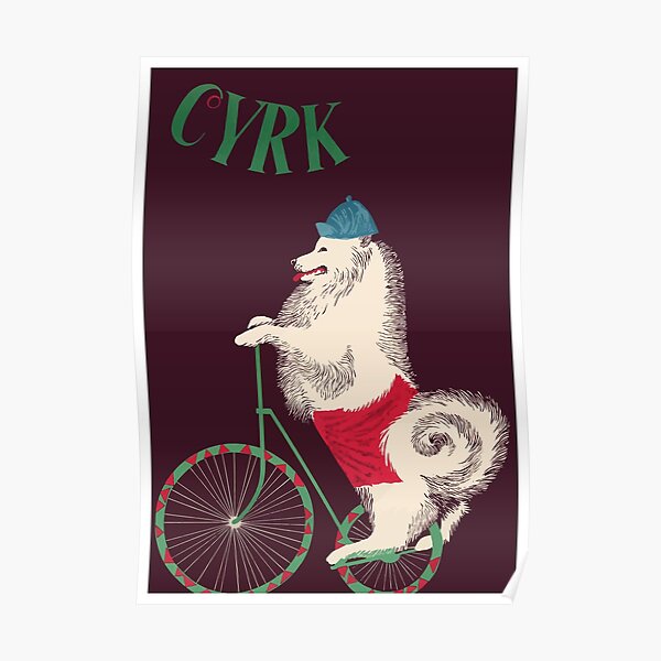 1965 Cyrk Cycling Dog Polish Circus Poster Poster