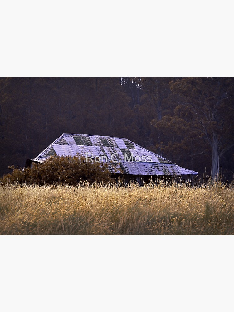 Farm House, near Judbury, Tasmania by ronmoss