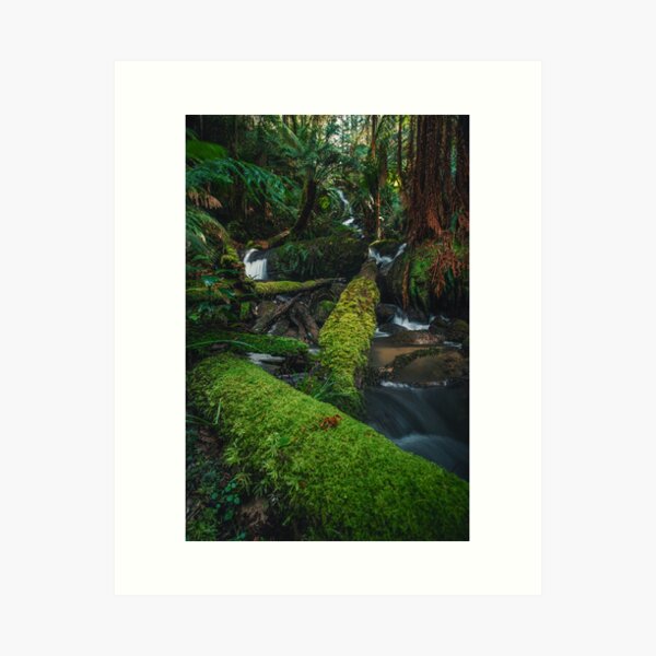 Item preview, Otways Rainforest Waterfall designed and sold by timmyvincent.