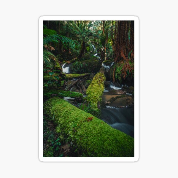 Item preview, Otways Rainforest Waterfall designed and sold by timmyvincent.