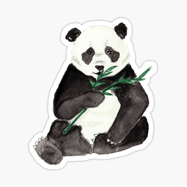 Panda Gifts Merchandise Redbubble