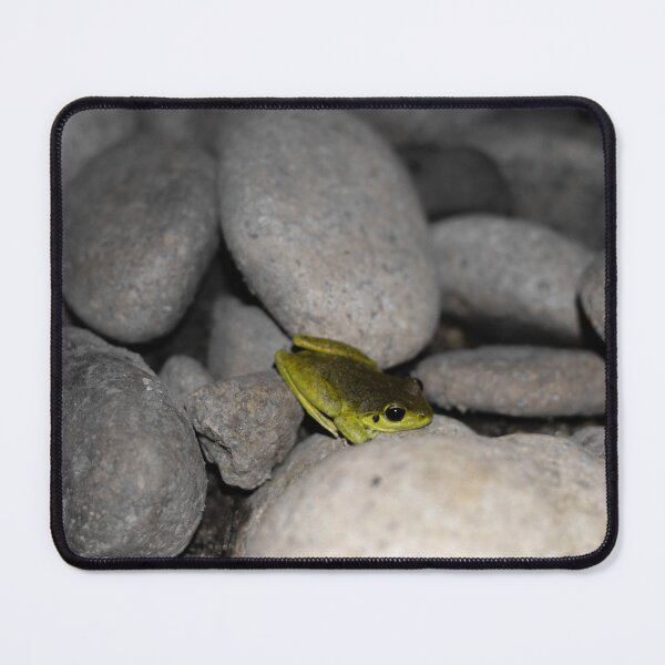 Item preview, Green Tree Frog designed and sold by timmyvincent.