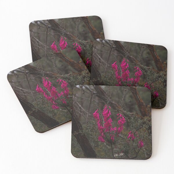 Item preview, Grampians Wildflower designed and sold by timmyvincent.