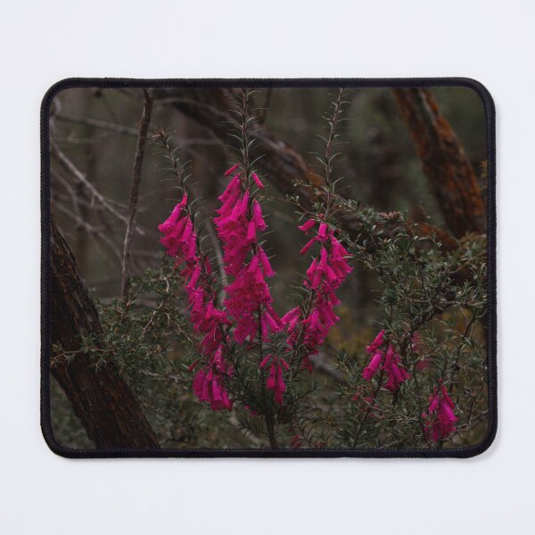 Item preview, Grampians Wildflower designed and sold by timmyvincent.