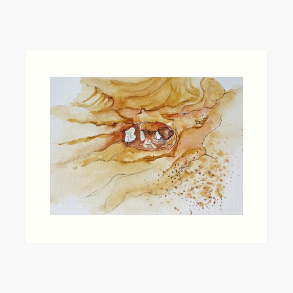 Item preview, Sandstone Caves Coonabarabran designed and sold by Sue Salisbury.