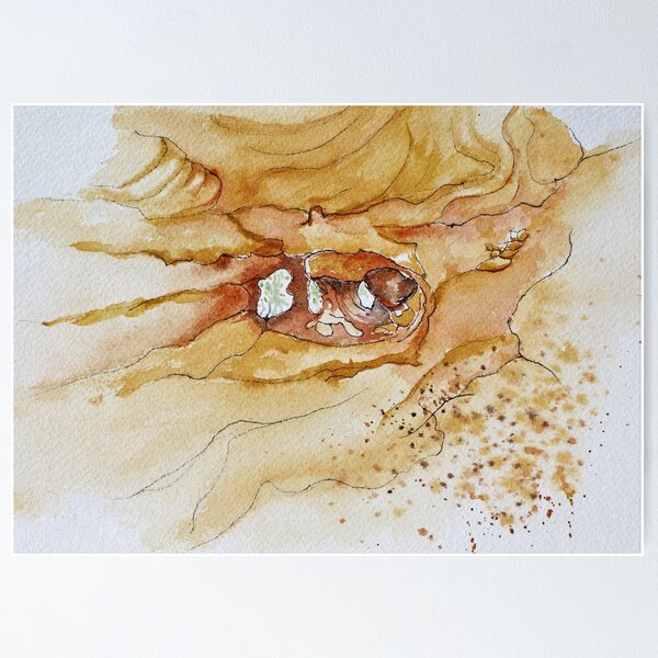 Item preview, Sandstone Caves Coonabarabran designed and sold by Sue Salisbury.