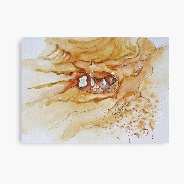 Item preview, Sandstone Caves Coonabarabran designed and sold by Sue Salisbury.