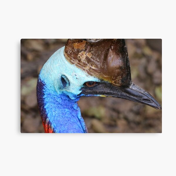 Flugunfahiger Vogel Geschenke Merchandise Redbubble