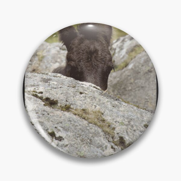 Item preview, Dartmoor Pony Foal designed and sold by geinyhelder.