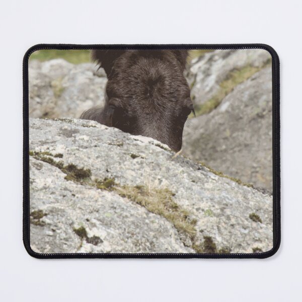 Item preview, Dartmoor Pony Foal designed and sold by geinyhelder.