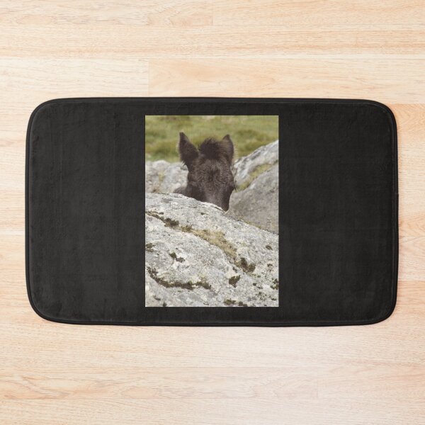 Item preview, Dartmoor Pony Foal designed and sold by geinyhelder.
