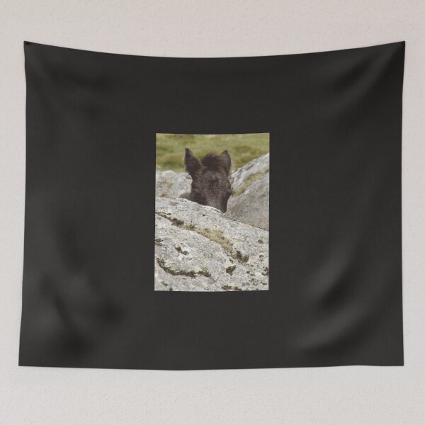 Item preview, Dartmoor Pony Foal designed and sold by geinyhelder.