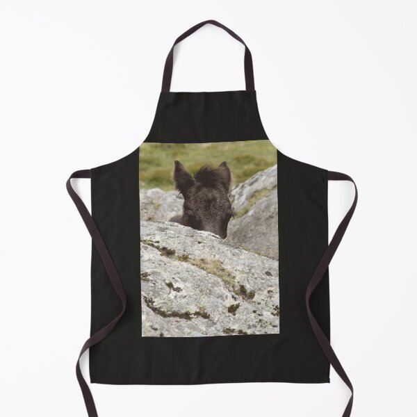 Item preview, Dartmoor Pony Foal designed and sold by geinyhelder.