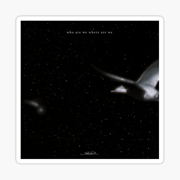Cosmic Goose — "Who Are We Where Are We" Collection Sticker