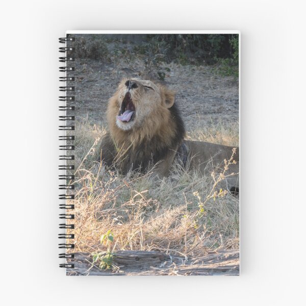 Item preview, Good Morning Chobe! designed and sold by Christina Backus.
