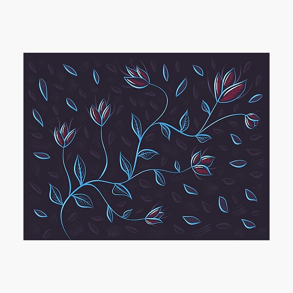 Photographic Print